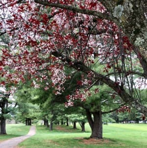 Heritage 18-Hole Parkland Golf Course