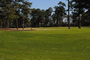 Old-Style Southern Golf Course Escape