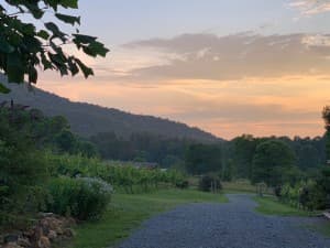 Scenic Vineyard Retreat with Wine Tastings