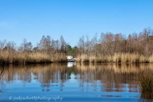 Alligator Farm & Airboat Adventures