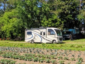Scenic Seasonal Berry & Veggie Farm