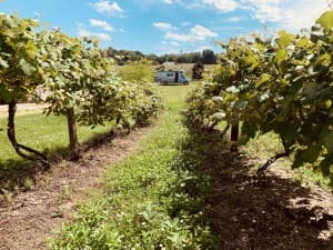 Charming Lakeside Stone Cellar Winery