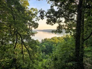 Bluffside Vineyard & Artful Winery