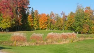 Countryside Golf Club and Banquet Venue