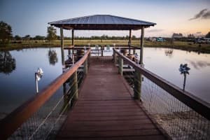 Florida Vineyard & Winery Retreat