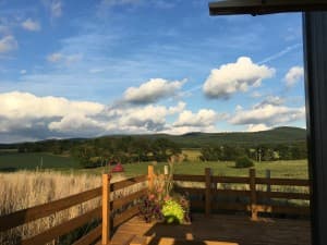 Organic Grass-Fed Dairy Farmstead